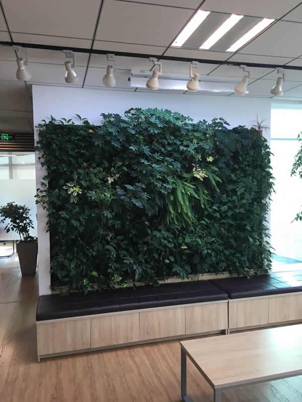创新科技植物墙1