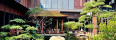 苏州荣记餐厅庭院绿化