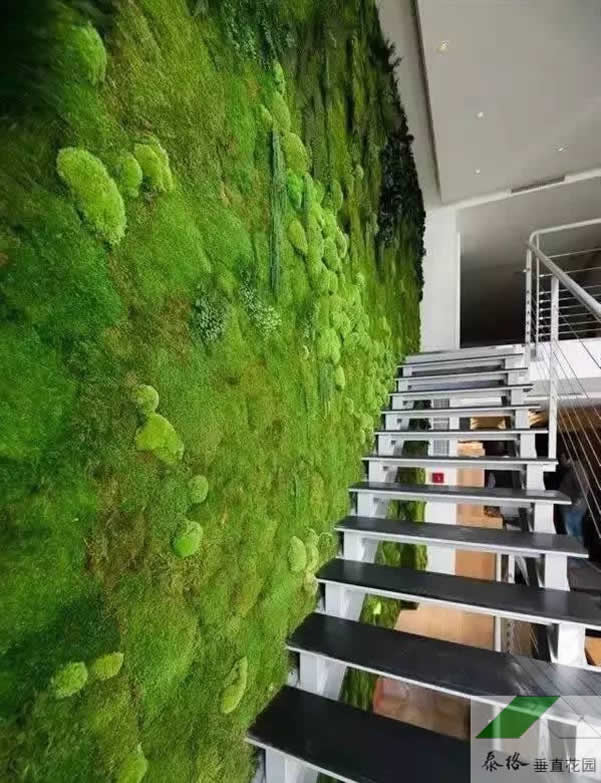 无锡苔藓植物墙