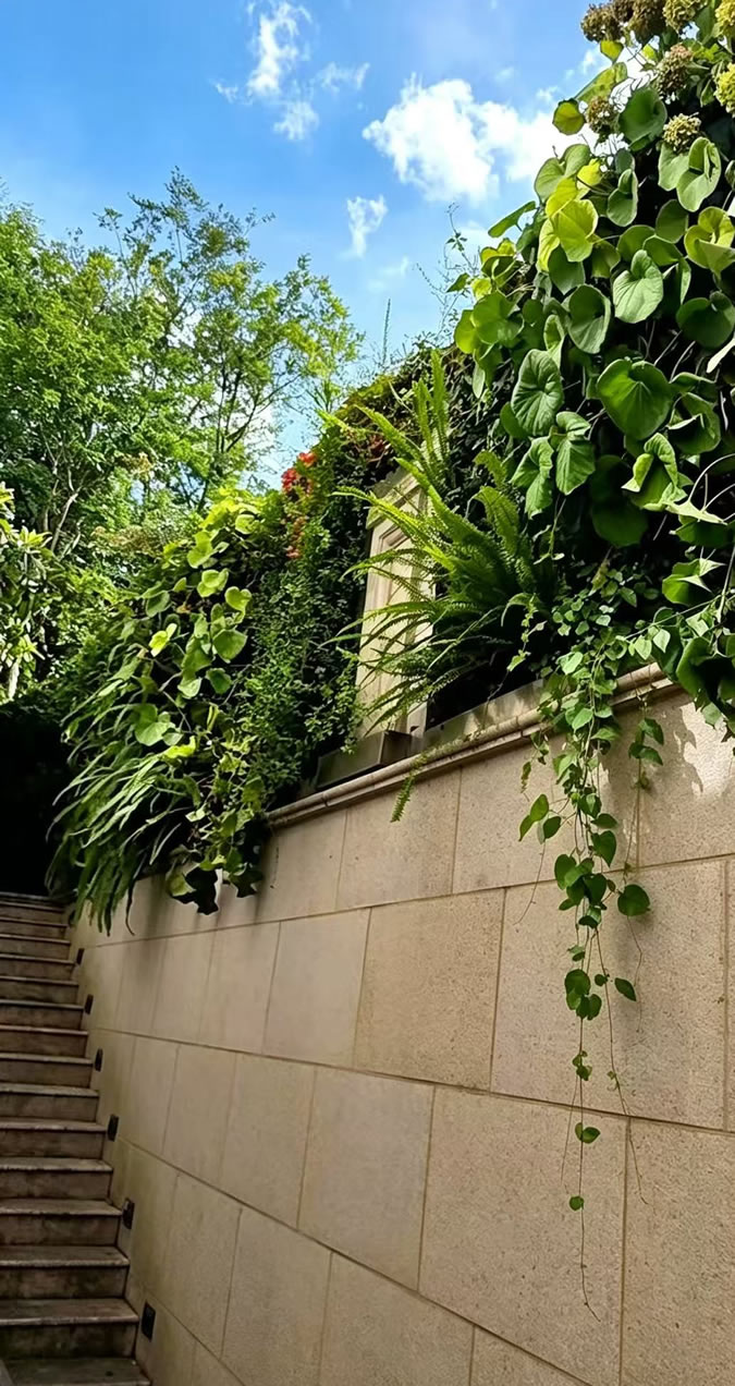 国宾一号邻居遮挡绿植墙