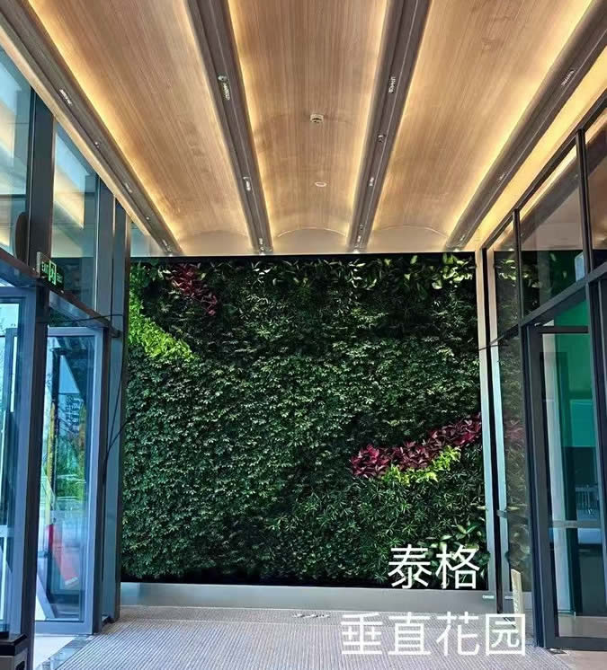 荟品仓奥莱商场迎宾植物墙