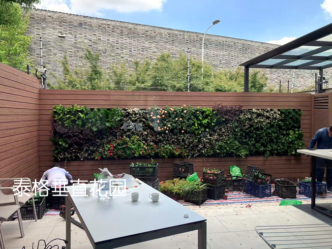 姑苏区别墅下车庭院垂直绿化