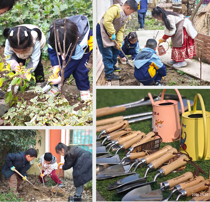 向雍景湾幼儿园捐赠园艺工具仪式