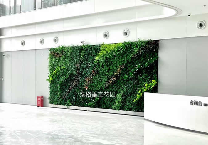 苏州工业园区市民中心室内植物墙
