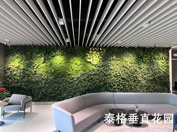 园区行政服务接待大厅植物墙